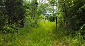 00 Hwy 81 Highway Lot 1