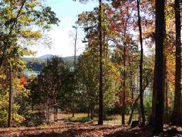 TL11 Big Creek Way