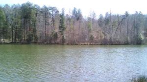 Lot #30 The Bear Boulevard