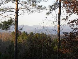 388 Cliffs South Parkway