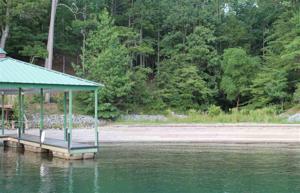 111 Cedar Bluff Court