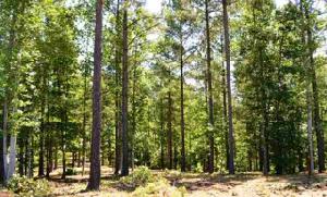 Lot 102 Hawks Bay Court