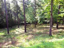 113 Lake Breeze Trail