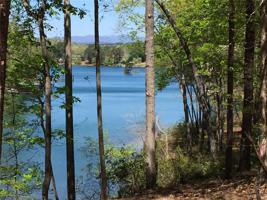 117 Serenity Cove Trail
