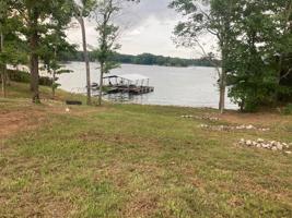 41 BIG MOUTH Cove