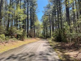 121 White Pine Lane