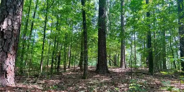 0 Rest Road Lot 19