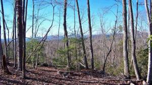 110 Cliffside Trail