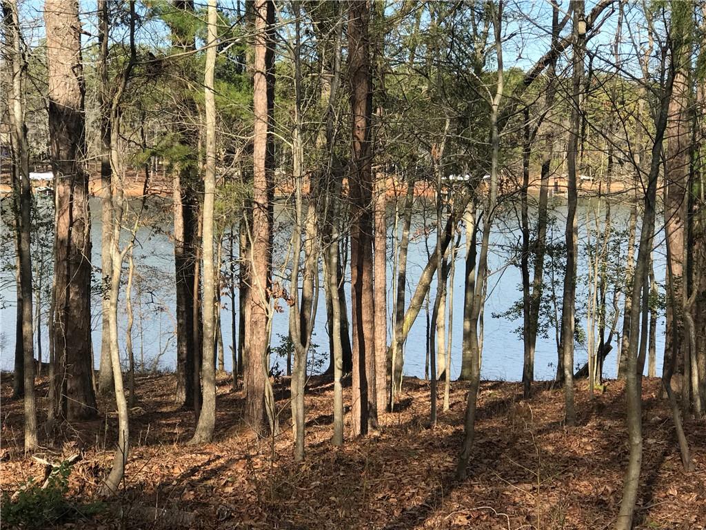 TBD4 Reed Creek Highway, Hartwell, GA lhrmls00648776