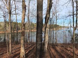 TBD-9 Reed Creek Highway