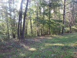 315 Ginseng Drive