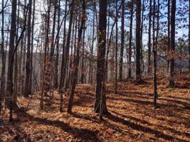 Lot 127 Longwood Drive