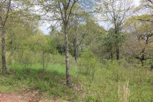 284 Edgewater Trail