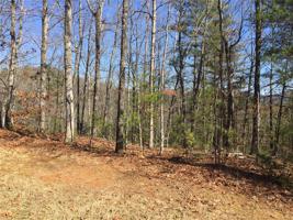 223 Eastatoe Parkway
