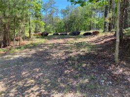 207 Golden Bear Drive