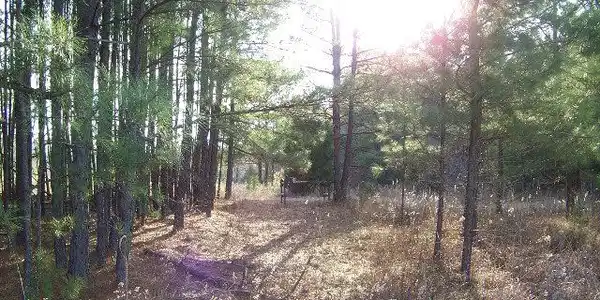 0 Morse Landing Rd