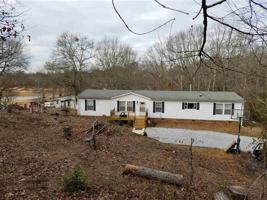 239 Black Road
