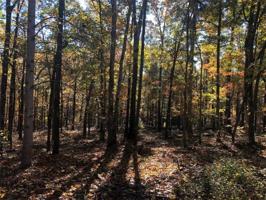 Lot 270 Maplewood Court
