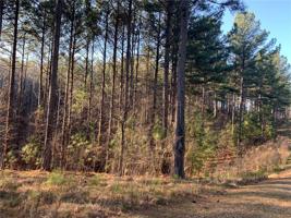 114 Sunblest Trail/Lot 65
