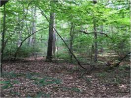 Lot 4 & 5 Jocassee Glen Rd. Road