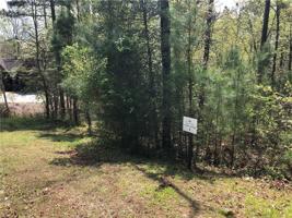 240 Buckthorn Trail