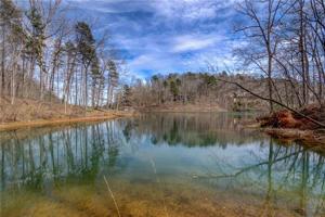 Lot 15 Crestone Court