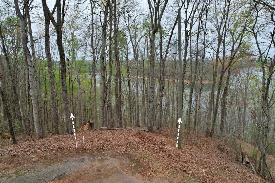 Image 3: This scenic lot offers a tranquil setting with amp