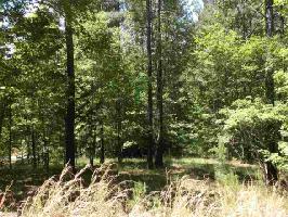 134 Creeks Stone Court
