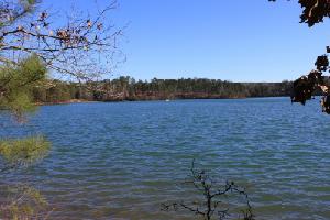Lot 10 Reflection Trail