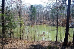 251 Oak Stone Drive