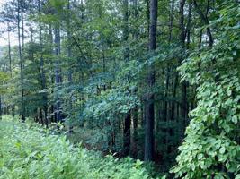 322 Long Cove Trail