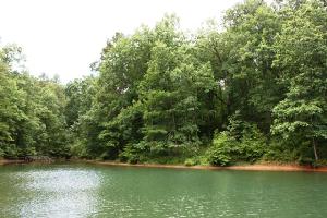 204 Cove Court