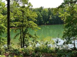 1 & 2 Lots SunPoint Court
