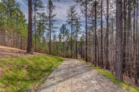 Lot 19 Grays Peak Drive