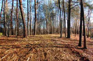 Lot #39 Eastatoe Parkway