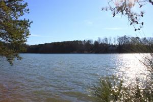 Lot 3 Deep Water Way