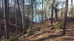 Lot 64 Keowee Overlook