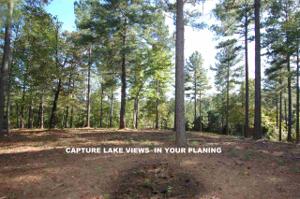 Lot 12 Button Wood Court