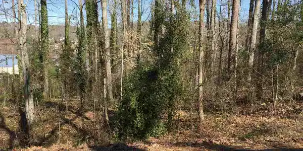 Lot 75 McFalls Circle
