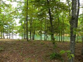1,1A Crest Pointe