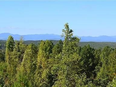 115 N Hickory Springs Way