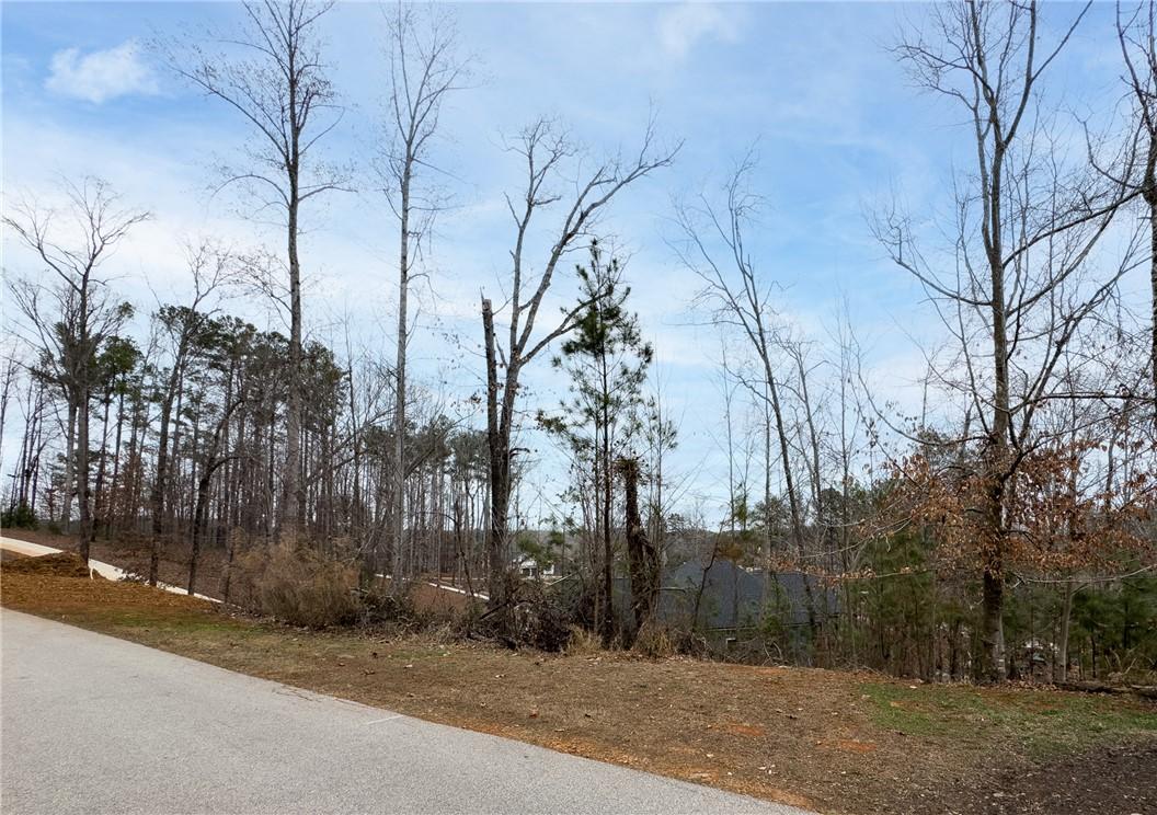Image 3: This scenic lot offers a tranquil setting with amp