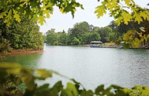 Lot 6 Cottages at Riverbirch