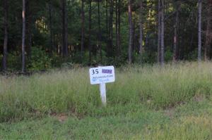 Lot 35 Peninsula Pointe South