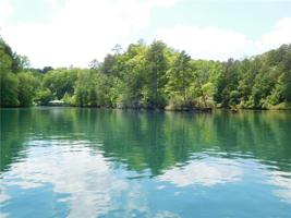 Lot 31 River Birch Way