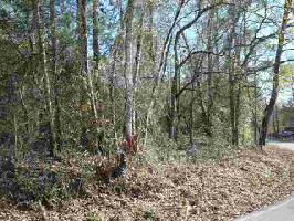 489 Lake Secession Road