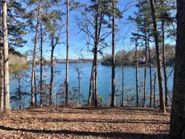 Lot 60 Clear Lake Court