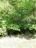 504 Stoney Creek Trail