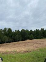 00 Hidden Falls Drive Lot 5