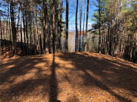 402 Basswood Court